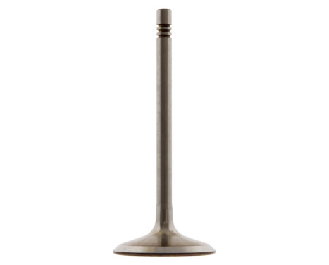 Inlet Valve