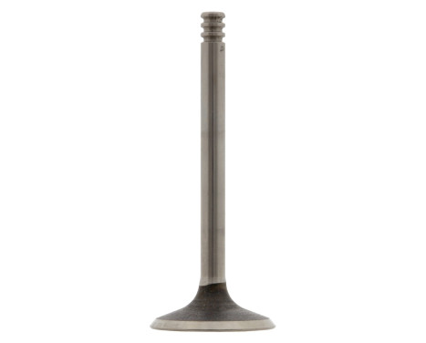 Inlet Valve