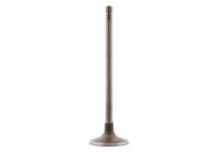 Inlet Valve
