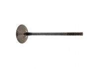 Inlet Valve
