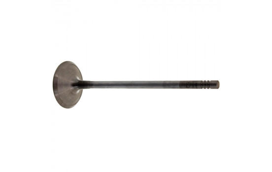 Inlet Valve