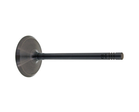 Inlet Valve