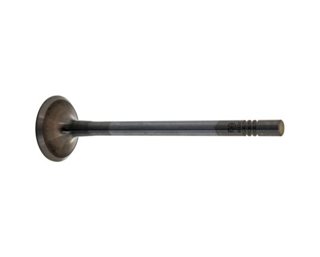 Inlet Valve