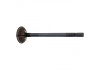 Inlet Valve