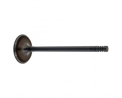 Inlet Valve