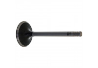 Inlet Valve