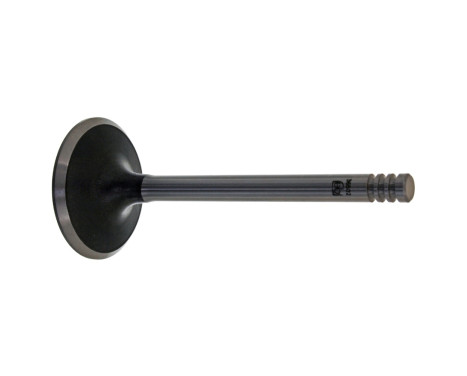 Inlet Valve