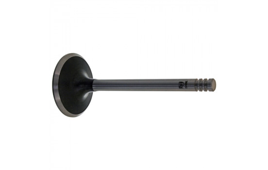 Inlet Valve