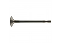 Inlet Valve