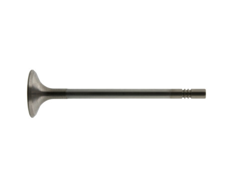Inlet Valve