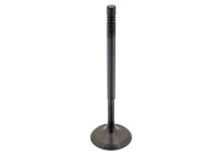 Inlet Valve