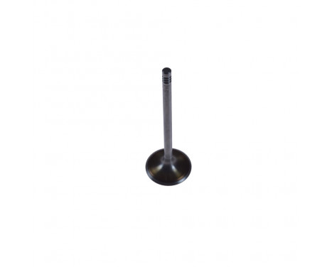 Inlet Valve