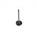 Inlet Valve