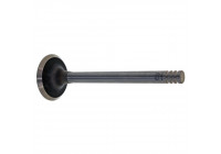 Inlet Valve