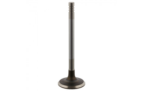 Inlet Valve