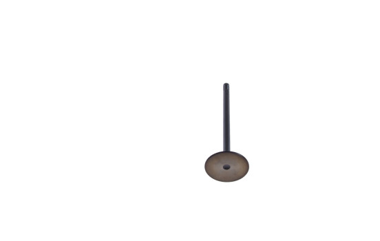 Inlet Valve, Image 2