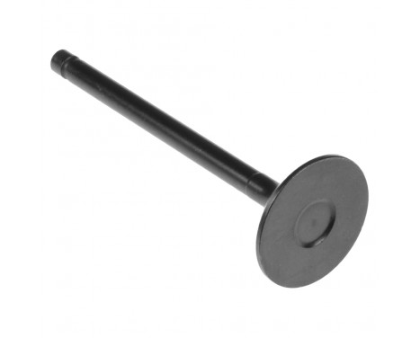 Inlet Valve, Image 2