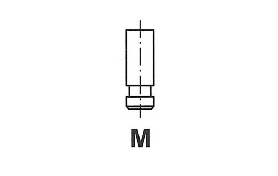 Inlet Valve