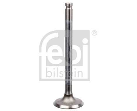 Inlet Valve, Image 2