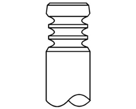Inlet Valve