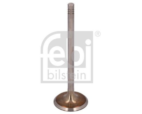 Inlet Valve, Image 2