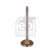 Inlet Valve, Thumbnail 2