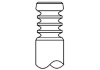 Inlet valve