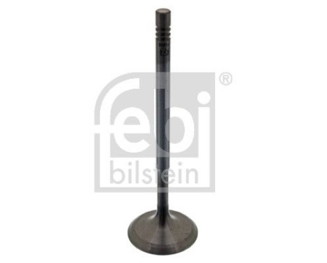 Inlet Valve, Image 2