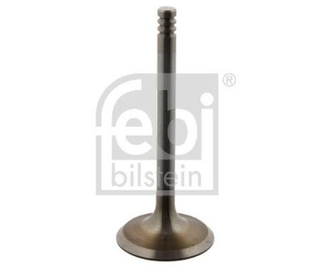 Inlet Valve, Image 2