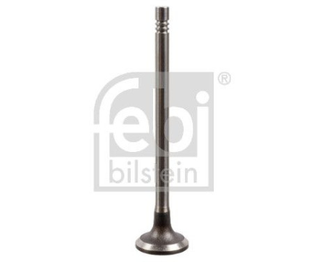 Inlet Valve