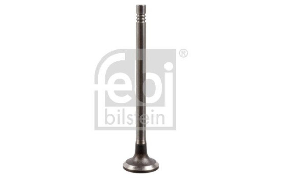 Inlet Valve