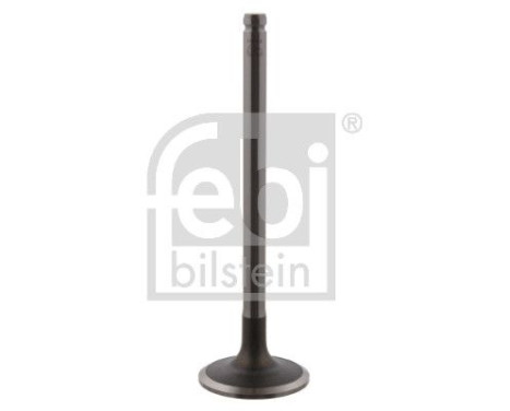 Inlet Valve, Image 2