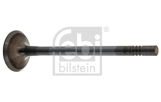 Inlet Valve, Image 2