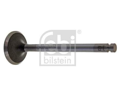 Inlet Valve, Image 2