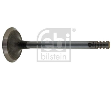 Inlet Valve, Image 2