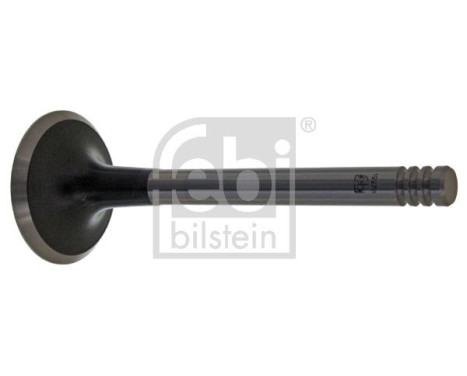 Inlet Valve, Image 2