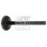 Inlet Valve, Thumbnail 2