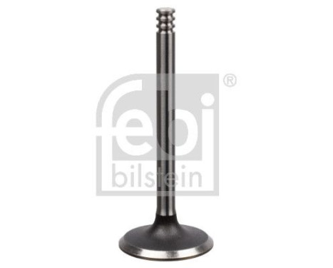 Inlet Valve, Image 2