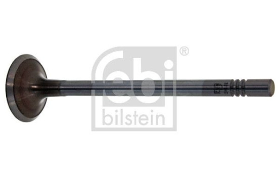 Inlet Valve, Image 2