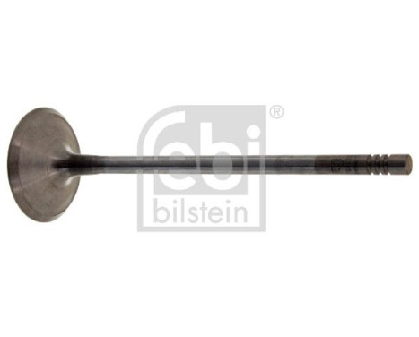 Inlet Valve, Image 2