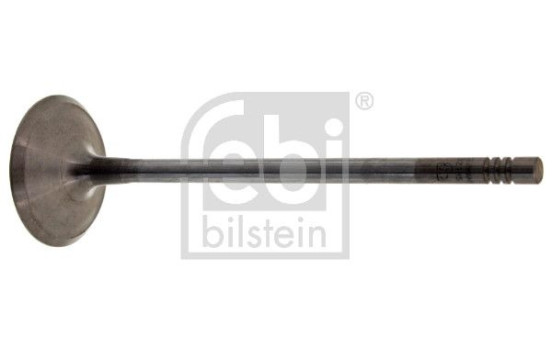 Inlet Valve, Image 2