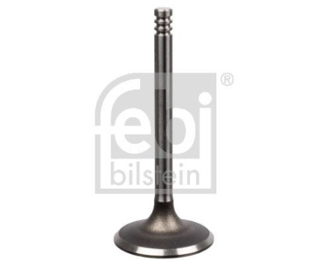 Inlet Valve, Image 2