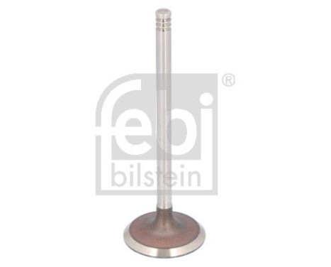 Inlet valve