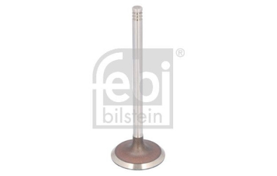 Inlet valve