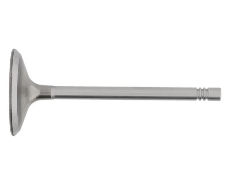 Inlet Valve