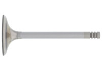 Inlet Valve