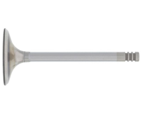 Inlet Valve