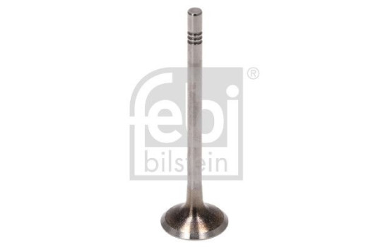 Inlet Valve, Image 2