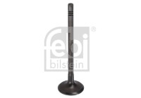 Intake valve