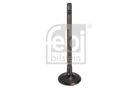 Intake valve